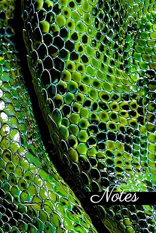 Couverture : Carnet de Notes Motif Peau de Serpent / Dragon